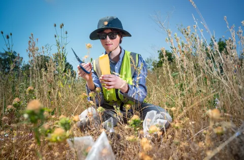 Portrait of Nico Burns in a field.