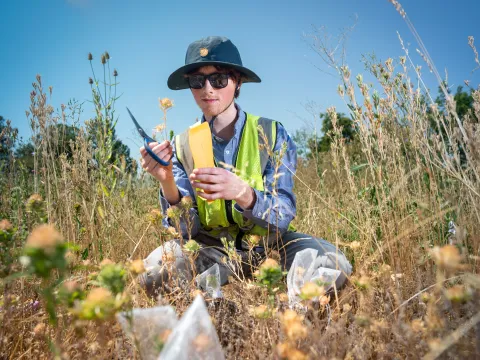 Portrait of Nico Burns in a field.